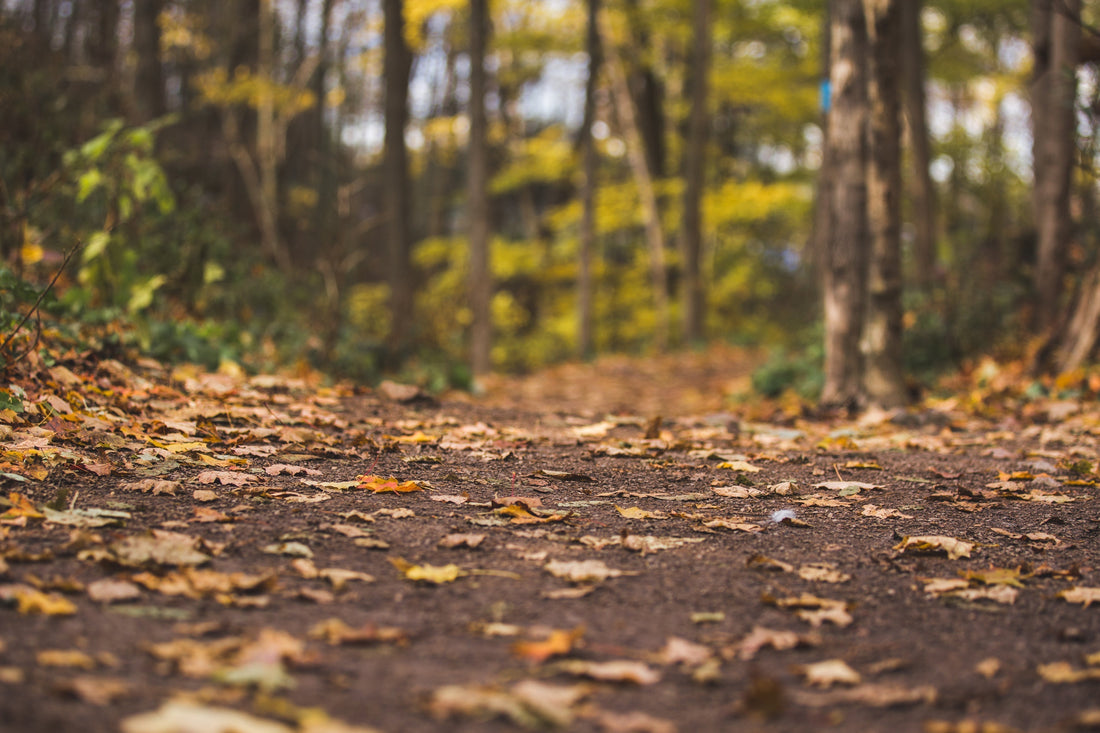Fall is on the Way!